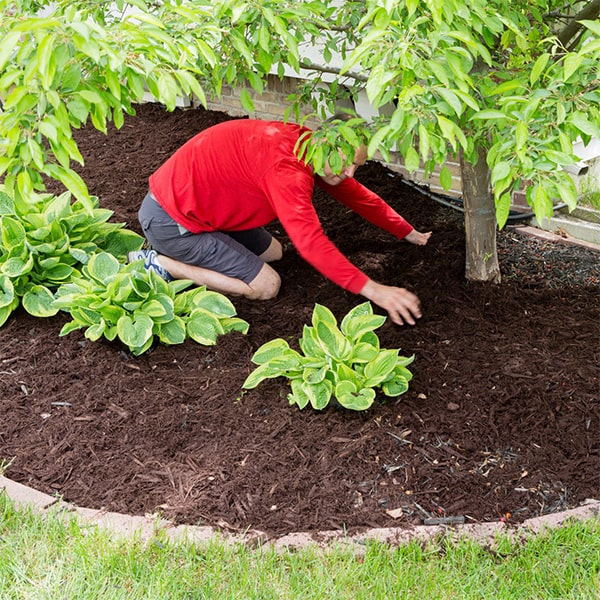 mulch installation can be customized to complement the aesthetic of your landscape and enhance the overall appearance of your outdoor space